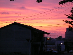 8月の夕暮れ